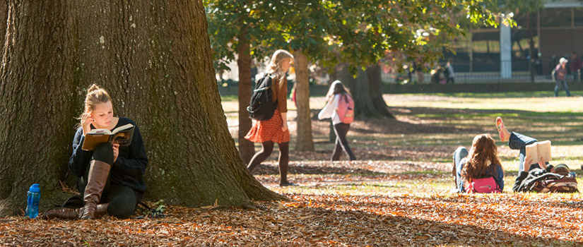 students sitting by tree on Horseshoe reading a book while students walk by in the background