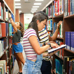 Students in Library