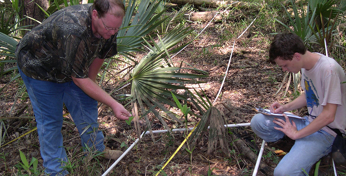 Dr. Eran Kilpatrick conducts research in the Walterboro Wildlife Sanctuary.