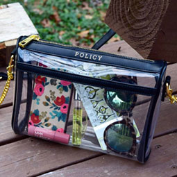 A clear Policy handbag with navy trim and gold zipper and chain strap