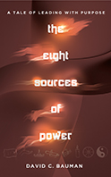 David Bauman book cover