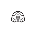 Palm leaf icon