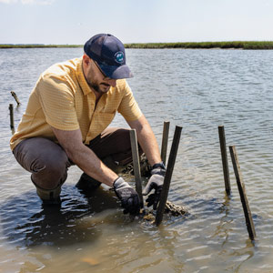 Ecological engineer Bill Strosnider is testing biodegradable materials for oyster reef restoration projects. 