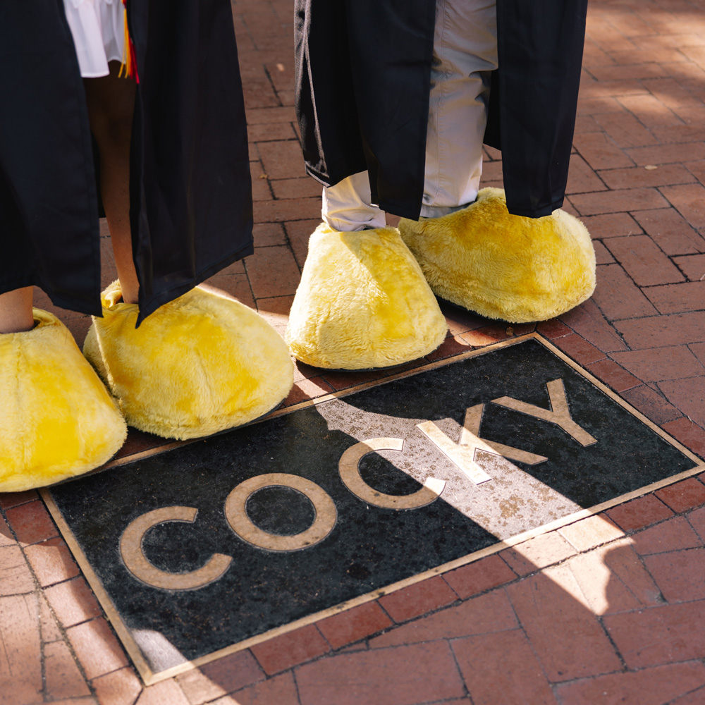 Yellow Cocky feet in front of the Cocky statue